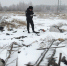 Грайворонские экологи выявили четыре захламлённых участка на территории округа - Сетевое издание Родной край 31