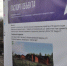 Грайворонцы намерены преобразить Новостроевскую сельскую территорию - Сетевое издание Родной край 31