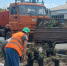 Около 19 000 саженцев цветочных культур украсят клумбы и аллеи города Грайворона и села Головчино - Сетевое издание Родной край 31