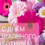 Примите искренние поздравления с наступающим профессиональным праздником - Днём социального работника! - Комплексный центр социального обслуживания населения
