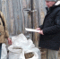 Грайворонские лесоводы собрали урожай сосновых шишек - Сетевое издание Родной край 31