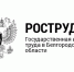Государственная инспекция труда в Белгородской области информирует. - Грайворонский муниципальный округ