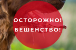 Уважаемые жители Грайворонского муниципального округа!.