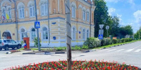 Грайворонский округ украсят более 30 тысяч ярких цветов - Сетевое издание Родной край 31