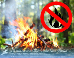 🔥Противопожарный режим в Белгородской области продлили до 5 октября.