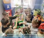 Эксперимент в детском саду: малыши вырастили авокадо 🥑.